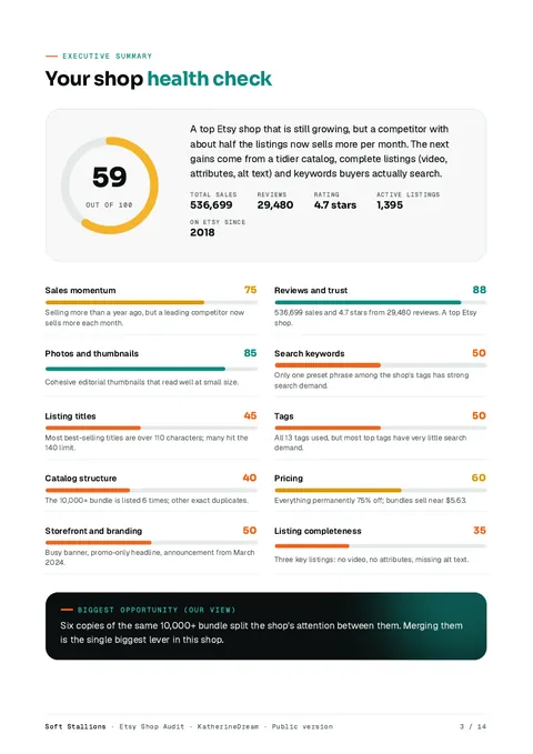 Report page with the shop score and a score for each of ten areas